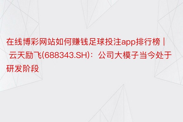 在线博彩网站如何赚钱足球投注app排行榜 | 云天励飞(688343.SH)：公司大模子当今处于研发阶段